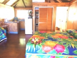 ステューディオガーデン