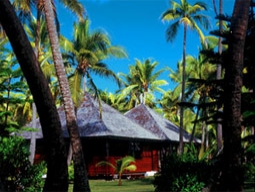 ひっそりと佇むバンガロー