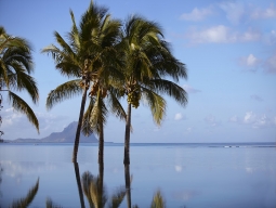 インフィニティプール