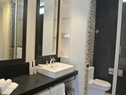 DLX-4: バスルーム