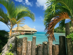 リゾート裏手は小高い山