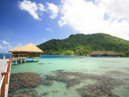 ブルーとグリーンのコントラスト