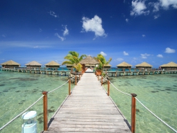 ディープ水上はわずか11棟