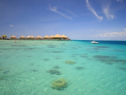 シュノーケルも楽しみ