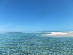 ６日間で欲張りに『天国に一番近い島』を満喫！ | ニューカレドニア