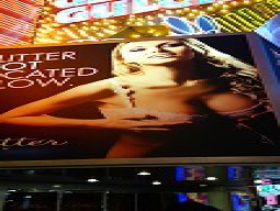 アダルトナイトツアー 18歳未満参加不可 オプショナルツアー アメリカ東海岸 海外旅行 ツアー Stw