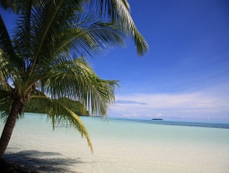 星形の島・カープ島デイトリップ イメージ
