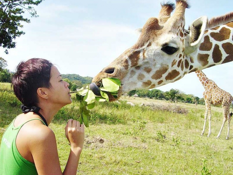 ディマクヤ島 イメージ5