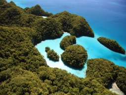 ロングビーチとミルキーウェイツアー イメージ