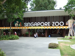リバーサファリチケット付き シンガポール動物園 アニマルショー トラム乗車 日本語ガイド付き現地解散プラン Fv オプショナルツアー シンガポール 海外旅行 ツアー Stw