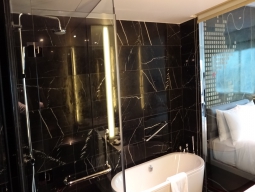 客室内バスルーム