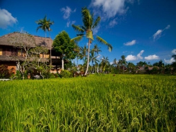 リゾート内風景