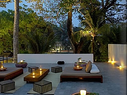 ルーフガーデン