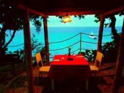 スペシャルディナー