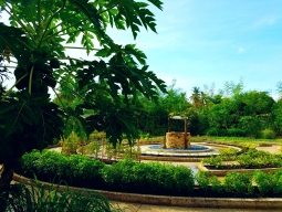 ガーデンファーム