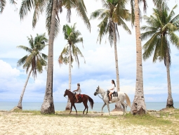 カンダヤ名物・ホースライディング