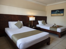 プレミアデラックス