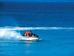 豊富なアクティビティ