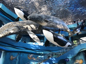 沿海州水族館