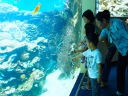 ニューカレドニアラグーン水族館