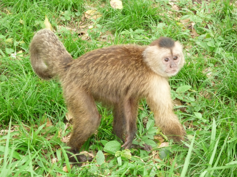 カチャマイ公園