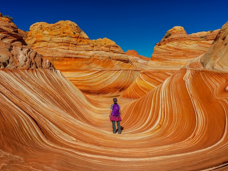 極み旅 未知の絶景 1日人しか入場できない ザ ウェーブ に3回チャレンジ アメリカは自然の宝庫 当選しない日もホワイトポケットなど別の絶景ポイントへご案内 秘境を巡るグランドサークル7日間 海外旅行のstw