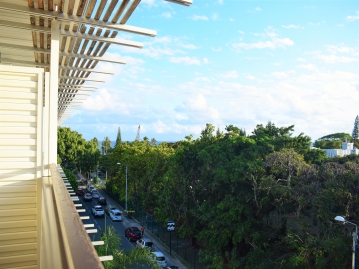 お部屋からの眺め