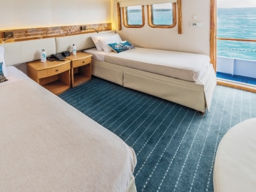 ジュニアキャビン(イメージ）