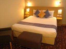 ジュニアスイート