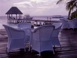 屋外レストラン//一例