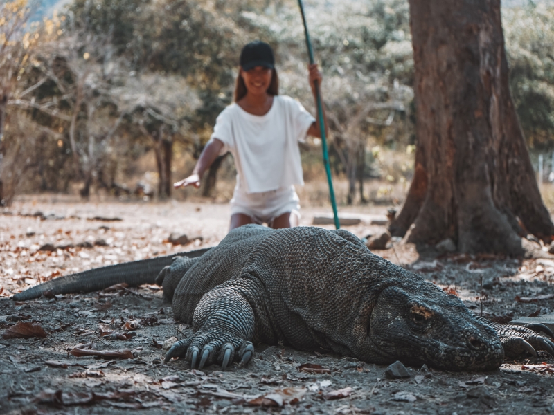 コモド諸島 イメージ5