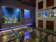 ピラン水族館