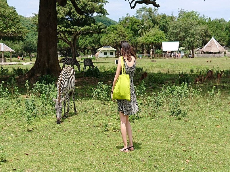 ディマクヤ島 イメージ4