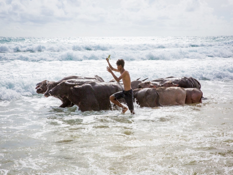 スンバ島 イメージ4