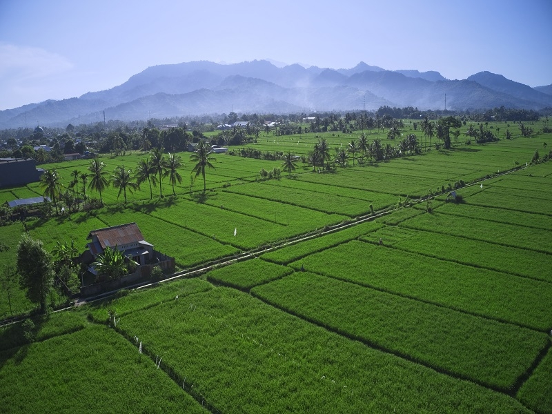 ロンボク島 イメージ5