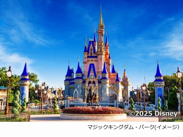 【ANA/羽田発着】ディズニー・ウィッシュ号（内側客室）で行く！憧れのキャスタウェイ・ケイ寄港★バハマ3泊クルーズ＋ウォルト・ディズニー・ワールド（ディズニー・オールスター・リゾート）2泊 8日間