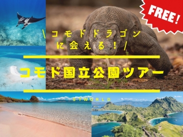 【2026夏旅特集】【中部発/シンガポール航空利用】コモドドラゴンに会える！国立公園周遊ツアー付き｜アヤナコモド（Ocean View Room）宿泊 ５日間｜往復送迎＆朝食付