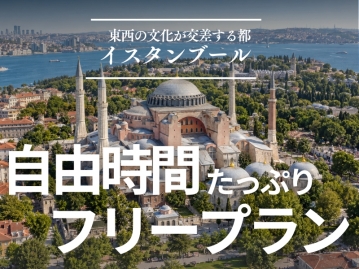 ＜自由時間たっぷりのフリープラン│スタンダードクラスホテル利用＞≪羽田夜発／5つ星★ターキッシュエアラインズ利用≫東洋と西洋が出会う魅惑の街イスタンブール5日間