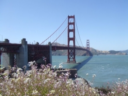 【羽田発着/ANA利用】＜日本語ガイド世界遺産ヨセミテ国立公園日帰り観光付＞西海岸第２の都市サンフランシスコ！STWならアレンジ自在！スタイリッシュでモダンな雰囲気ヒルトンユニオンスクエア宿泊7日間