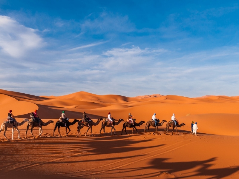 サハラ砂漠を訪れるおすすめツアー